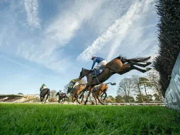 Shot of horse jumping from below