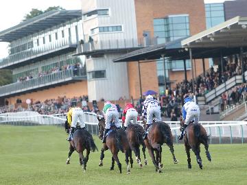 Fontwell Park Racecourse